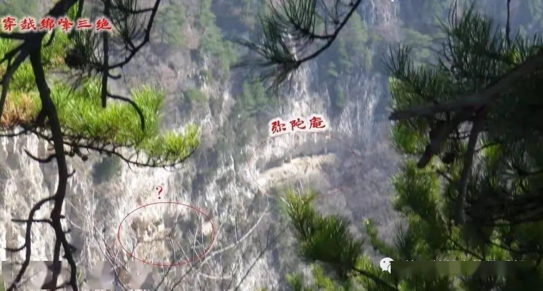 小猫钓鱼正版下载中文版